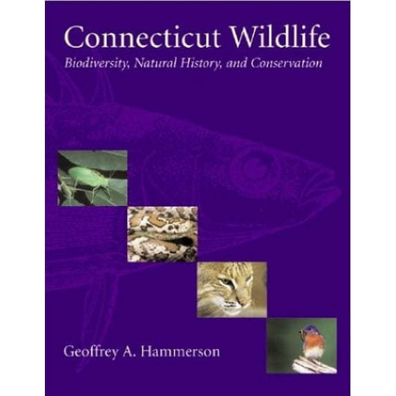 Pre-Owned Connecticut Wildlife: Biodiversity, Natural History, and Conservation (Paperback) 1584653698 9781584653691