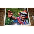 thumbnail image 1 of Pre-Owned Connecting Worlds: The Coffee Trail (From Farmer To Consumer) Paperback, 1 of 1