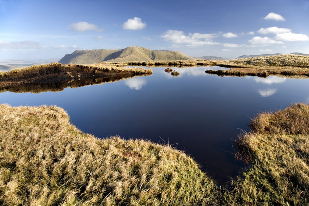Connemara Co Galway Ireland Bog Pool In The Mountains Canvas Art - Gareth McCormack Design Pics (36 x 24)