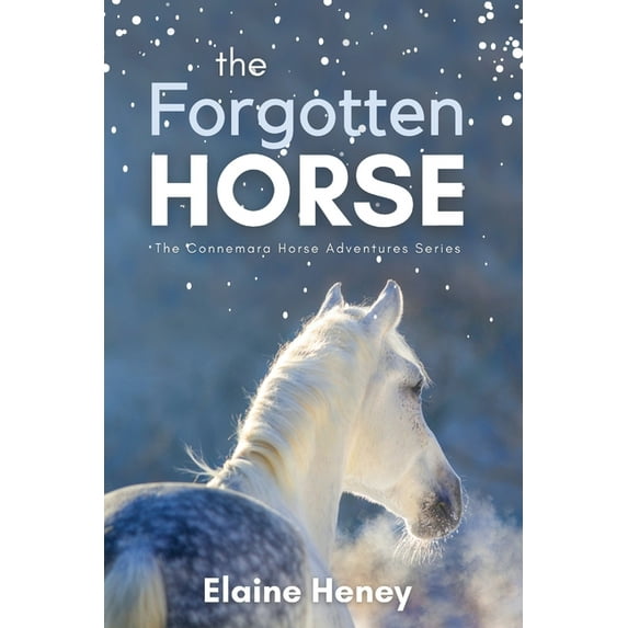 Connemara Horse Adventure: The Forgotten Horse - Book 1 in the Connemara Horse Adventure Series for Kids. The perfect gift for children age 8-12. , Book 1, (Paperback)