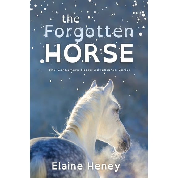 Connemara Horse Adventure The Forgotten Horse - Dyslexia Friendly, Book 1, (Paperback)