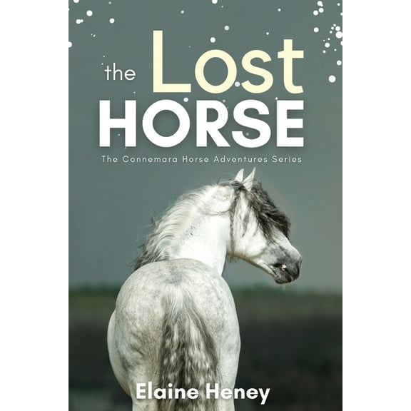 Connemara Horse Adventure The Lost Horse - Book 6 in the Connemara Horse Adventure Series for Kids, Book 6, (Paperback)