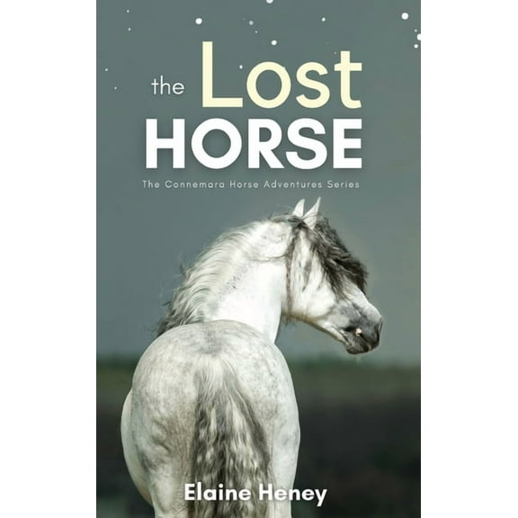 Connemara Pony Adventures The Lost Horse - Book 6 in the Connemara Horse Adventure Series for Kids The Perfect Gift for Children, Book 6, (Hardcover)