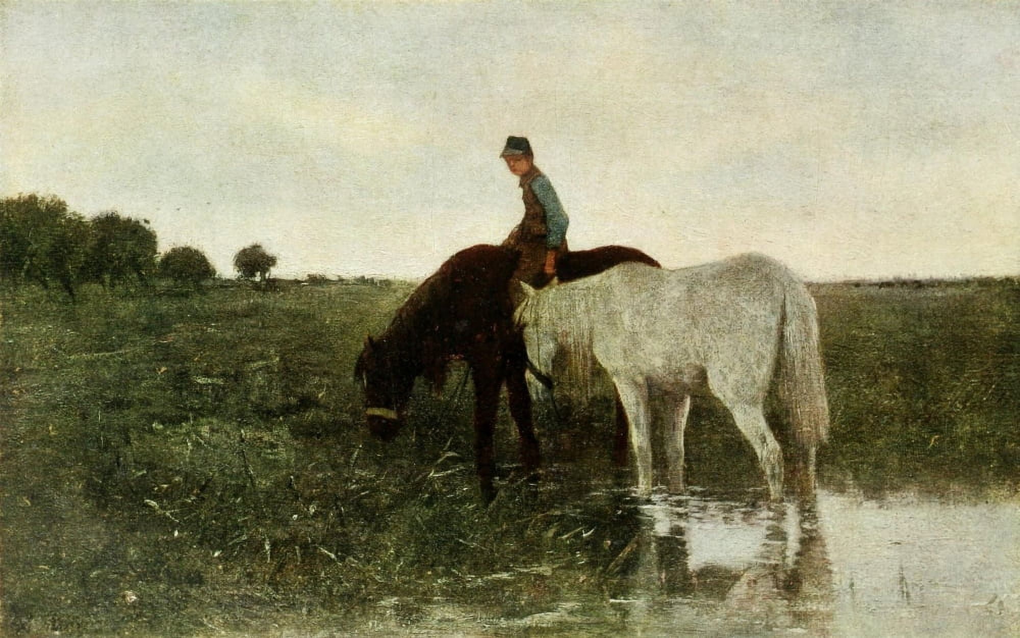 Connoisseur 35 Watering Horses Canvas Art - Anton Mauve (18 x 24)