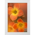 thumbnail image 1 of Connolly, Karin 11x14 White Modern Wood Framed Museum Art Print Titled - Orange Blossom I, 1 of 4
