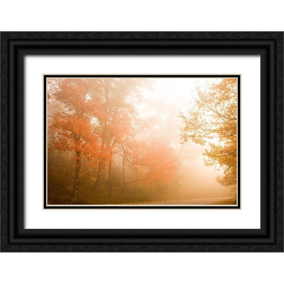 Connolly, Karin 14x11 Black Ornate Wood Framed with Double Matting Museum Art Print Titled - Beyond The Fog