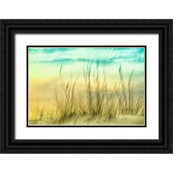 Connolly, Karin 32x23 Black Ornate Wood Framed with Double Matting Museum Art Print Titled - Delightful No. 2