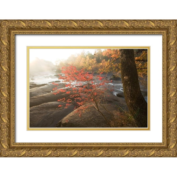 Connolly, Karin 32x23 Gold Ornate Wood Framed with Double Matting Museum Art Print Titled - Little Red