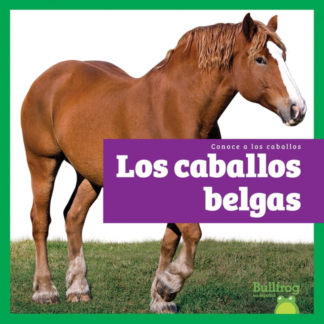 Conoce a Los Caballos (Meet the Horses) Los Caballos Belgas (Belgian Horses), (Hardcover)