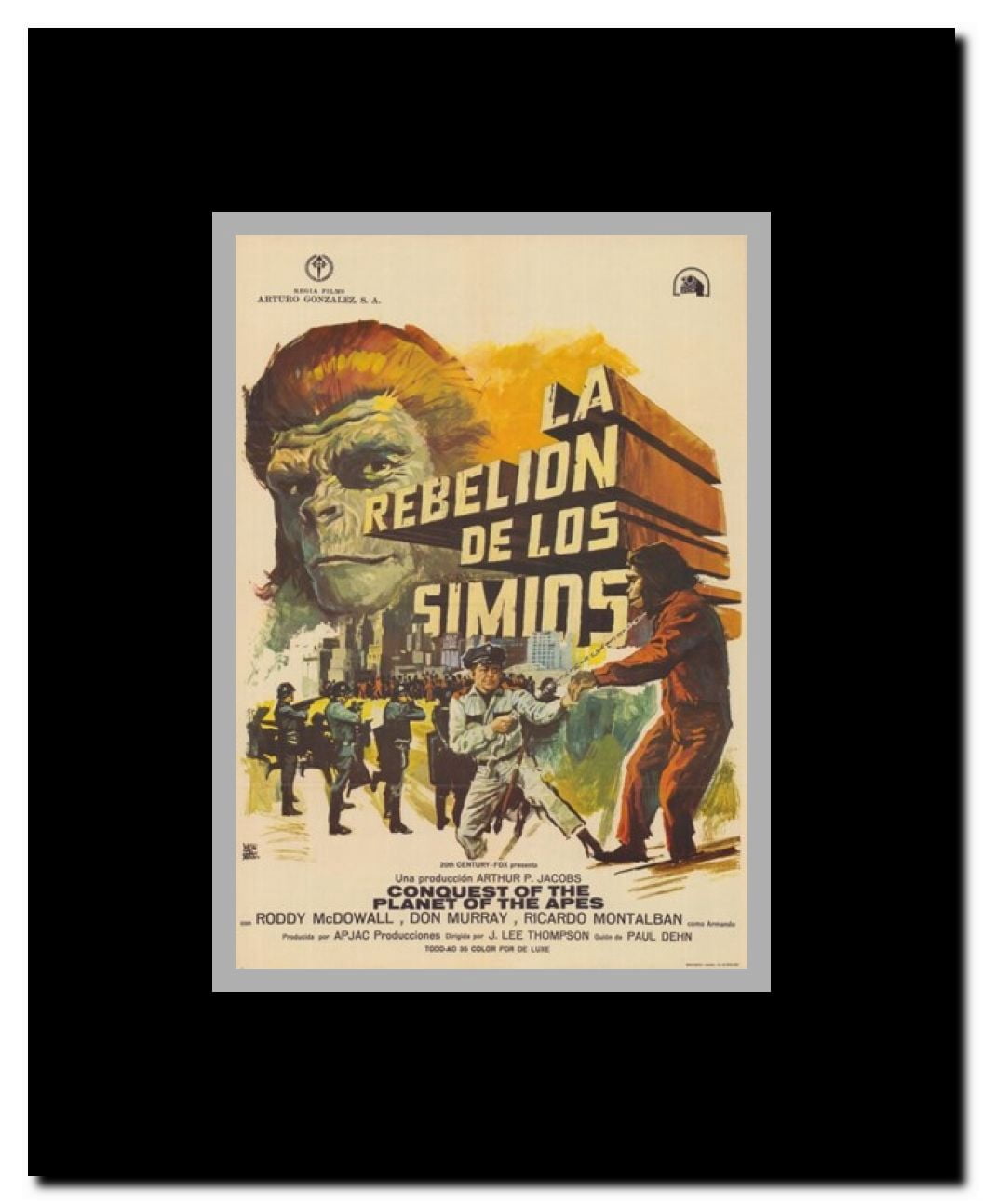 Conquest of the Planet of the Apes Framed Movie Poster