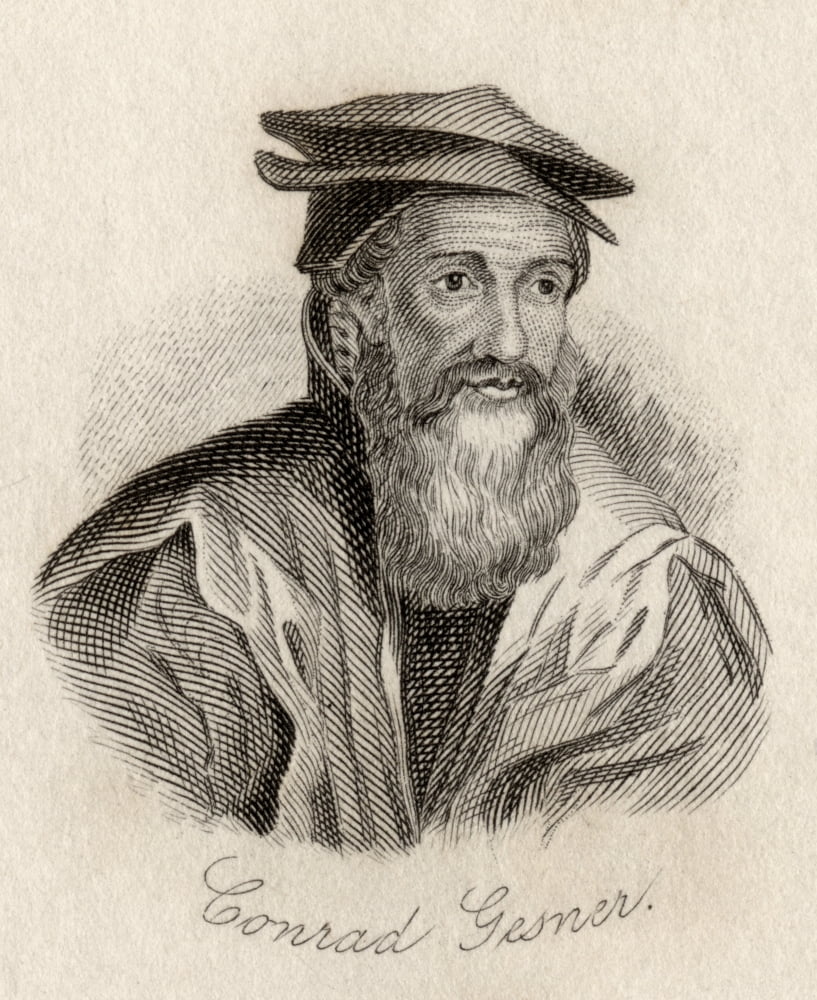 Conrad Gesner 1516-1565 Swiss Naturalist And Doctor Engraved By JWCook Canvas Art - Ken Welsh  Design Pics (13 x 16)