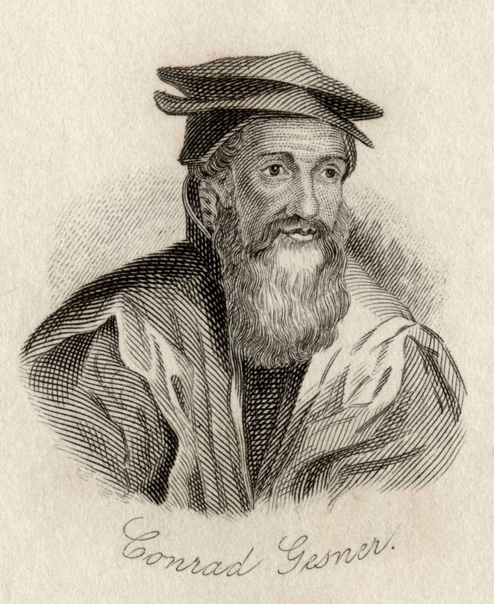 Conrad Gesner 1516-1565 Swiss Naturalist And Doctor Engraved By JWCook Canvas Art - Ken Welsh Design Pics (26 x 32)