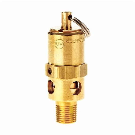 Conrader Safety Valve,1/8" (M) NPT Inlet SRH250-1/8 175 SST