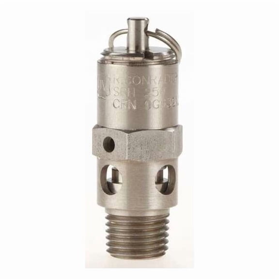 Safety Valve,Hard Seat,1/4 In,50 PSI,SS SRH250-SS-050
