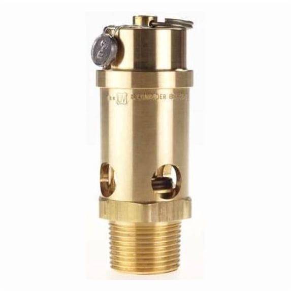 Conrader Safety Valve,Soft Seat,1 In,125 PSI SRV765-1-125