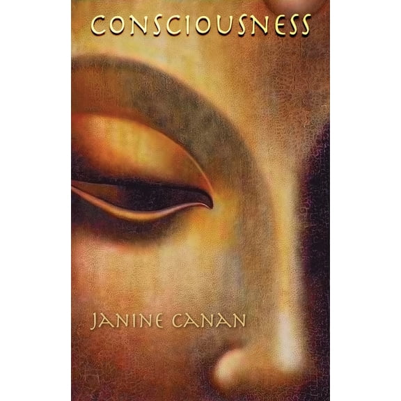 Consciousness, (Paperback)