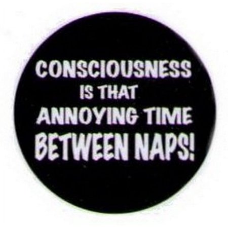 Consciousness Thing Between Naps Button HB293