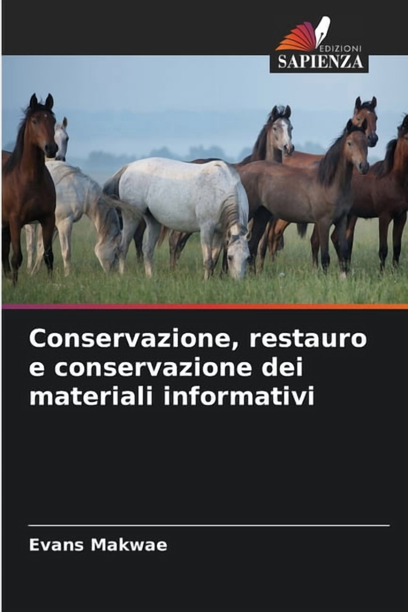 Conservazione, restauro e conservazione dei materiali informativi, (Paperback)