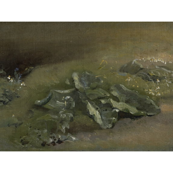 Constable Study Of A Burdock C1810 Painting Extra Large XL Wall Art Poster Print