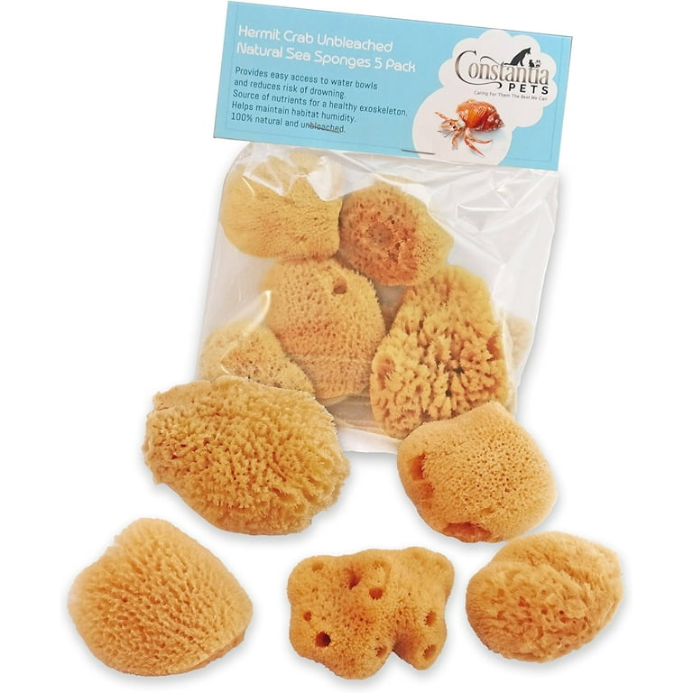 Constantia Pets Hermit Crab Real Sea Sponges - 5 Pack Unbleached