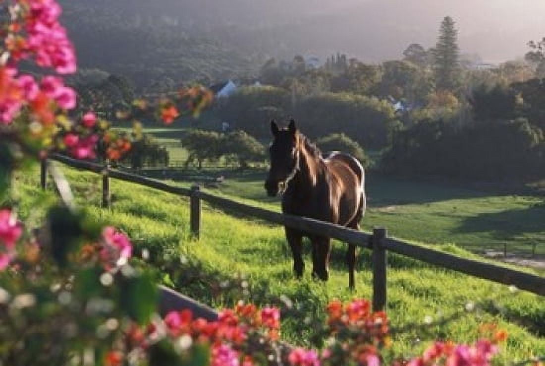 Constantia Winery Cape Town South Africa Canvas Art - Stuart Westmorland DanitaDelimont (18 x 12)