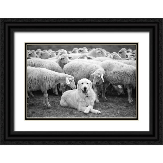 Constantin, Lucian 14x11 Black Ornate Wood Framed with Double Matting Museum Art Print Titled - The Boss