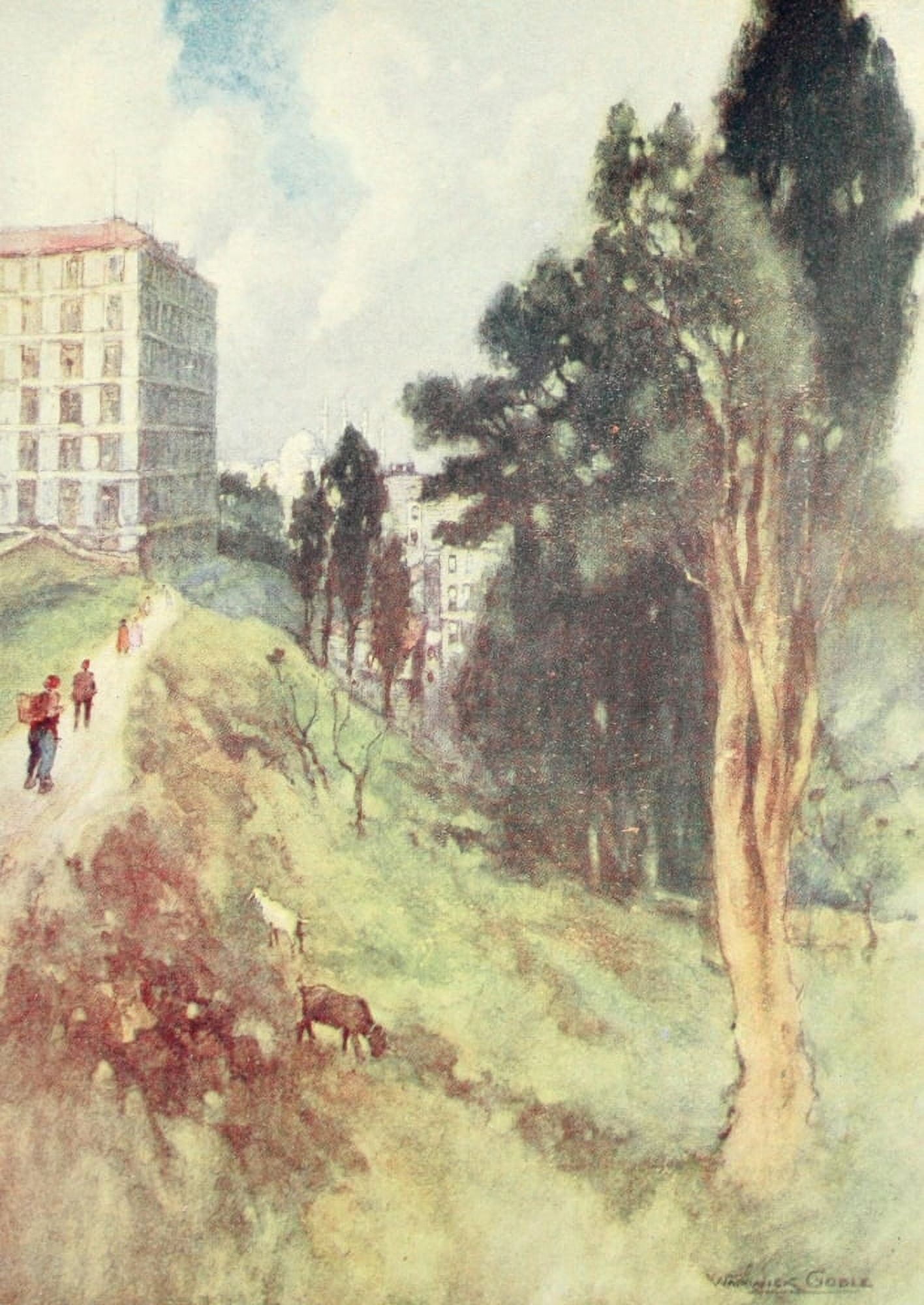 Constantinople 1906 View from old cemetery Canvas Art - Warwick Goble (24 x 36)