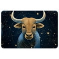 Constellation Polyester NonSlip Machine Washable Door Mat Floor Mats