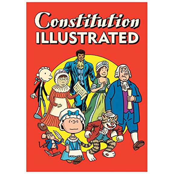 Pre-Owned Constitution Illustrated (Paperback) 1770463968 9781770463967
