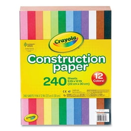 Construction Paper, 9 x 12, Assorted Colors, 264/Pack Construction Paper, 9 x 12, Assorted Colors, 264/Pack