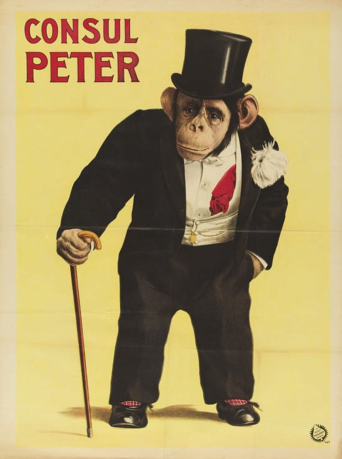 Consul Peter Monkey In Top Hat And Tails Canvas Art - (36 x 54)