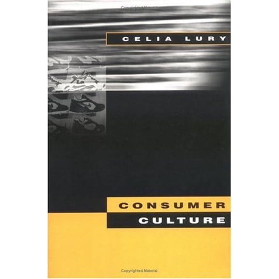 Consumer Culture (Paperback)