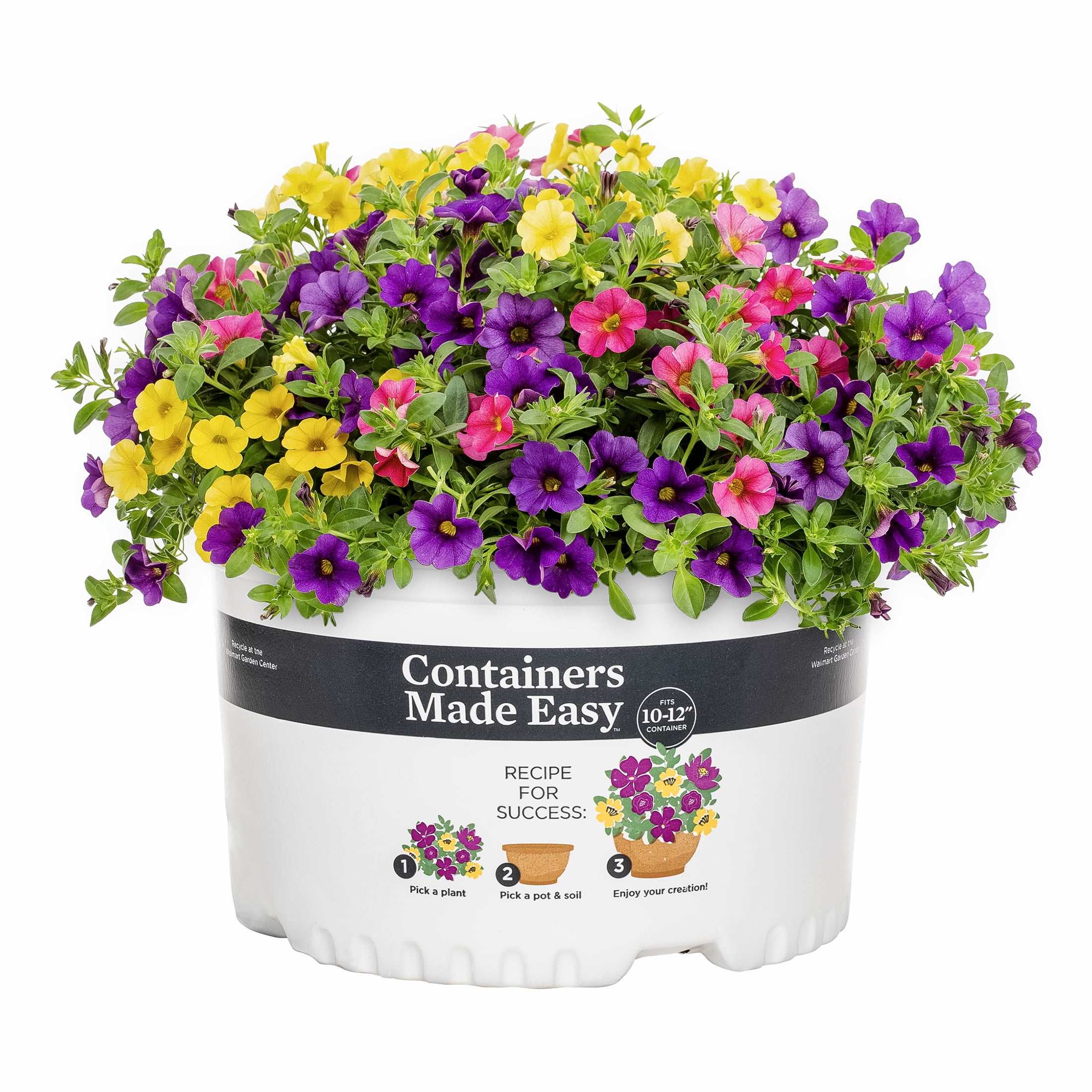 Containers Made Easy 1.5gal Multicolor Calibrachoa Sundance Mix Live Annual Plant Sun