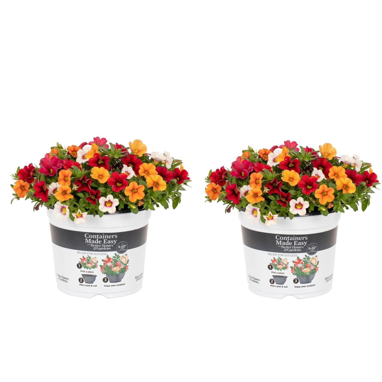 Better Homes & Gardens 3QT Orange Red White Calibrachoa Live Annual Plant Sun 2-Pack