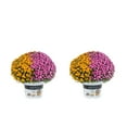 Containers Made Easy 3QT Orange Purple Hardy Chrysanthemum Live Plant