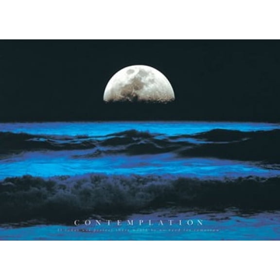 Contemplation Poster (36 x 24)