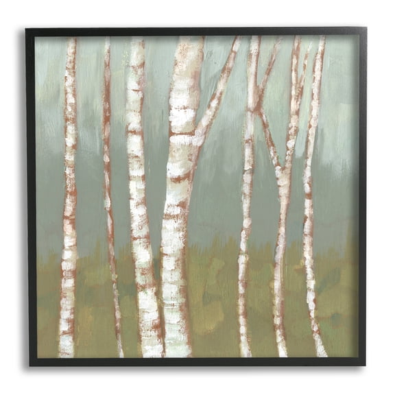 Contemporary Birch Tree Bark Soft Green Forest Landscape Landscape Framed Art Print Wall Art, 17x17