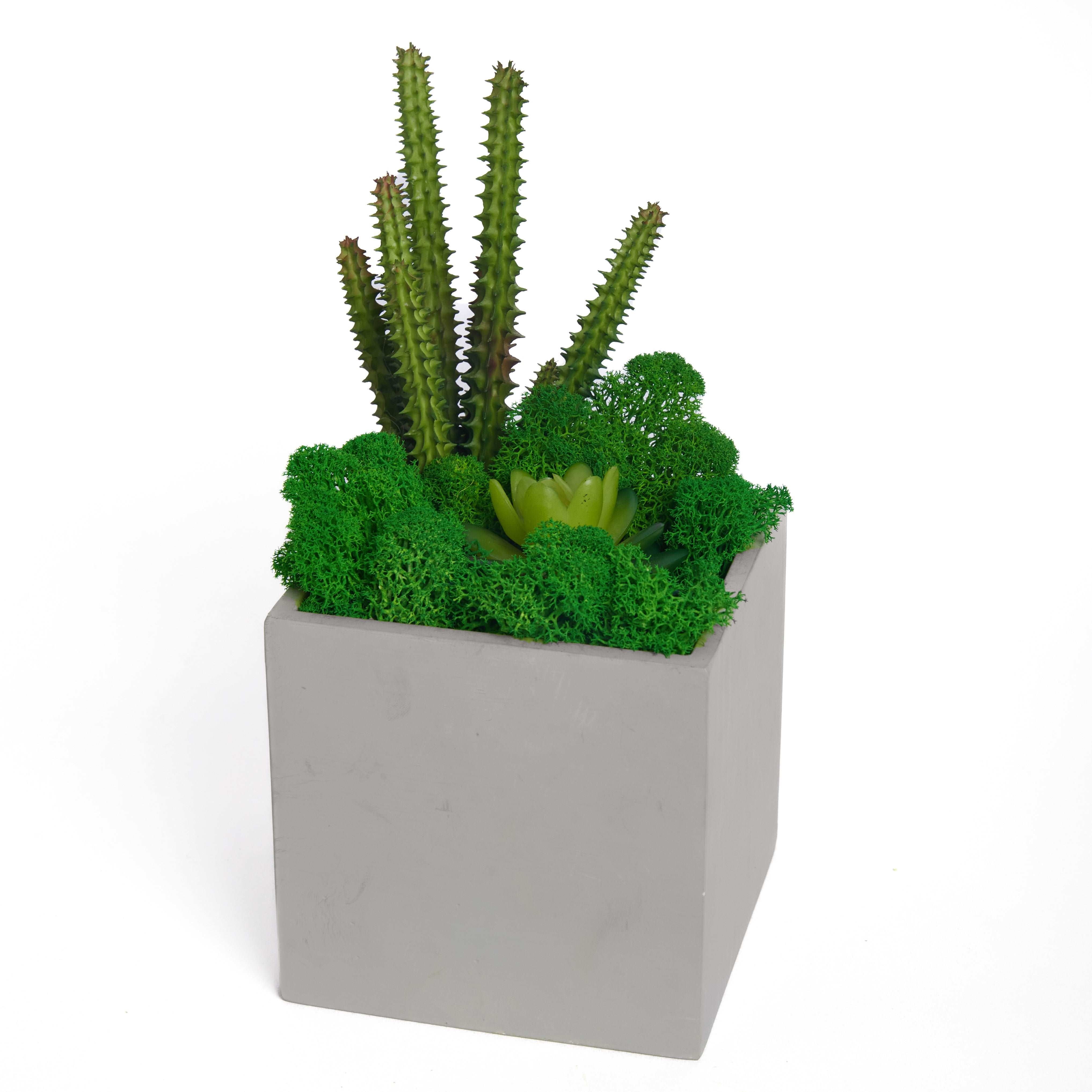 Contemporary Cement Planter with Preserved Moss and Faux Succulents