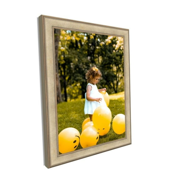 Contemporary Champagne Picture Frame - Modern Framing