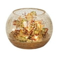 thumbnail image 1 of Contemporary Home Living 5.75" Lighted Autumn Round Fall Harvest Vase, 1 of 1