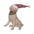 thumbnail image 1 of Contemporary Home Living 8.5" Beige and Red Puppy Christmas Figurine, 1 of 1