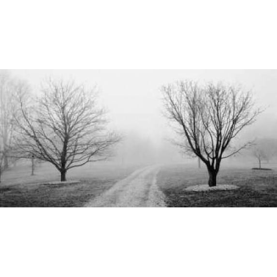 Contemporary Leaf I Poster Print by Michael Marcon (12 x 12)