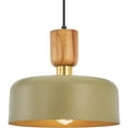 thumbnail image 1 of Contemporary Pendant Lighting,Large Pendant Lamp,Wood and Brass Accent,Adjustable Metal Hanging Light Fixture for Kitchen, Dining Room, Green, 1 of 17