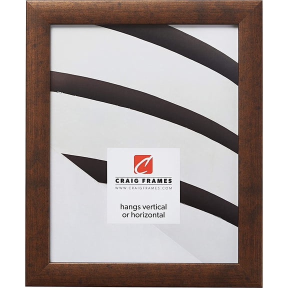 Contemporary Picture Frame, 22 x 22 Inch, Rustic Copper