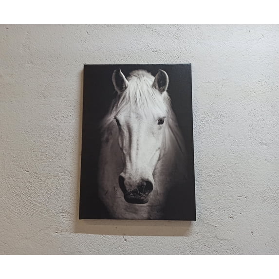 Contemporary Wall Art, Horse Photo Art, White Horse Canvas, White Horse Photo Print, Modern Poster, Horse Lover Gift Art, Canvas Wall Decor - Gold Framed