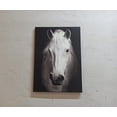 thumbnail image 1 of Contemporary Wall Art, Horse Photo Art, White Horse Canvas, White Horse Photo Print, Modern Poster, Horse Lover Gift Art, Canvas Wall Decor - White Framed, 1 of 6