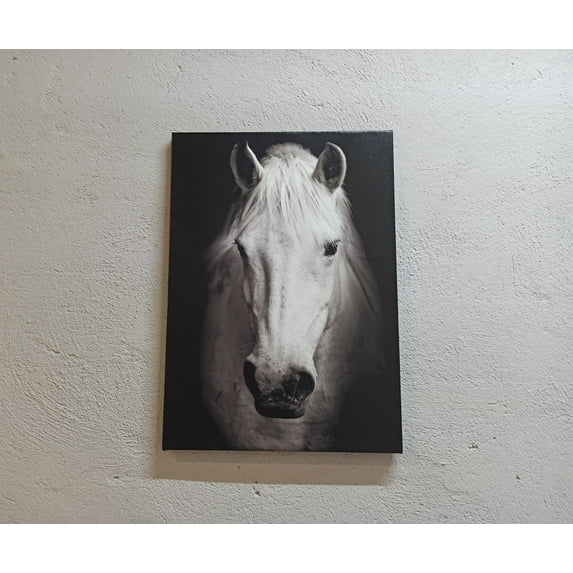 Contemporary Wall Art, Horse Photo Art, White Horse Canvas, White Horse Photo Print, Modern Poster, Horse Lover Gift Art, Canvas Wall Decor - Natural Framed