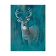 thumbnail image 1 of Contemporary White Tail I' Canvas Art by Grace Popp, 1 of 4