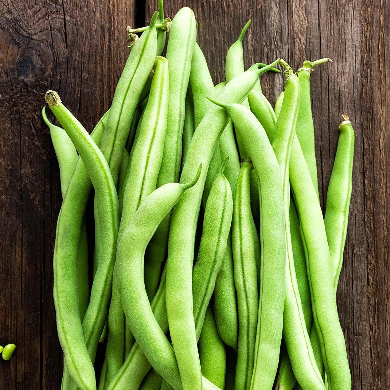 Contender Bush Bean Seeds - 5 Lb - Non-GMO, Heirloom - Also Called Buff Valentine - Vegetable Garden Seeds