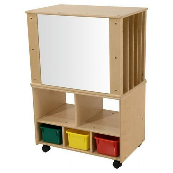 Contender Mobile Magnetic Teaching Organizer with Shelf and 3 Assorted Bins- Assembled